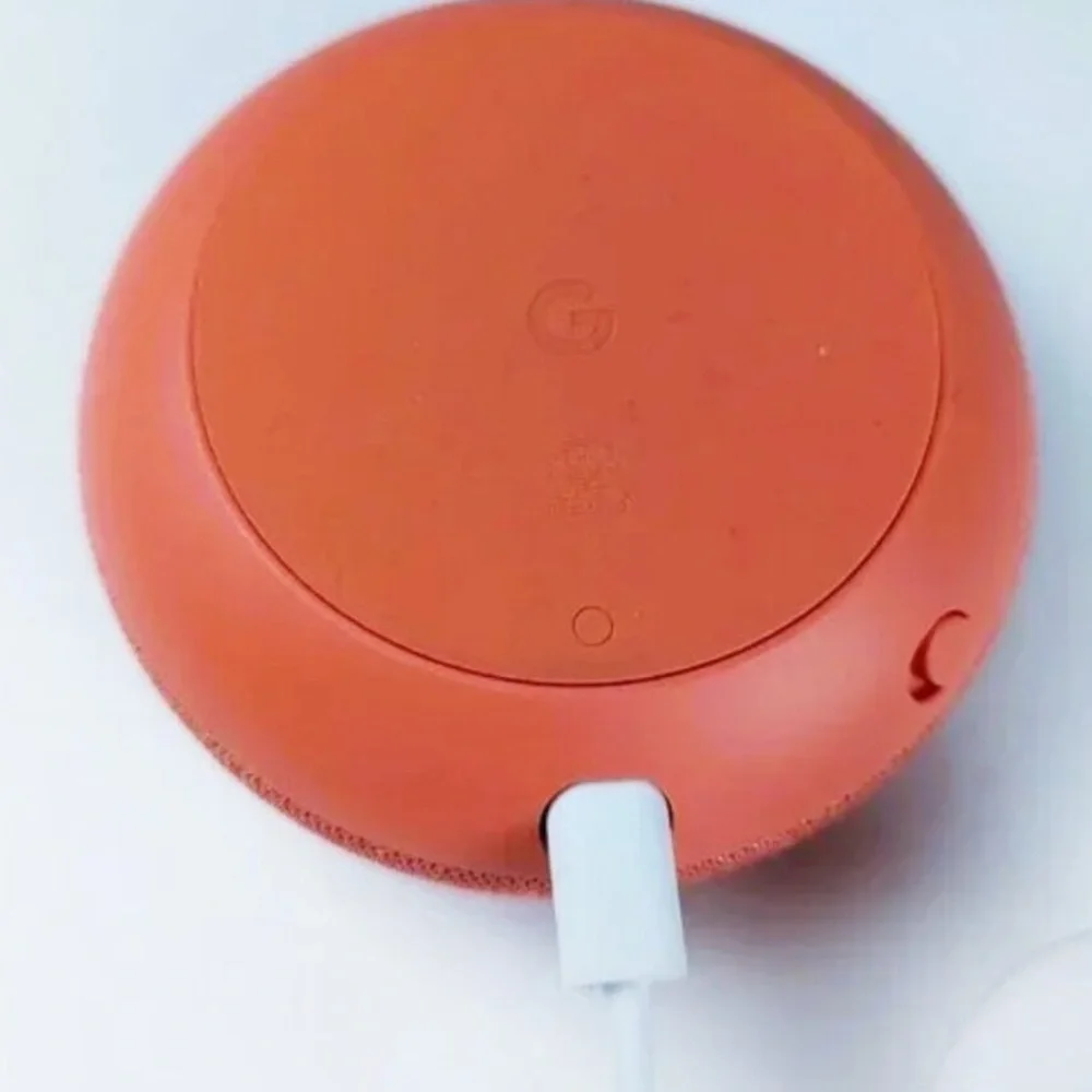 Google White Smart Speakers